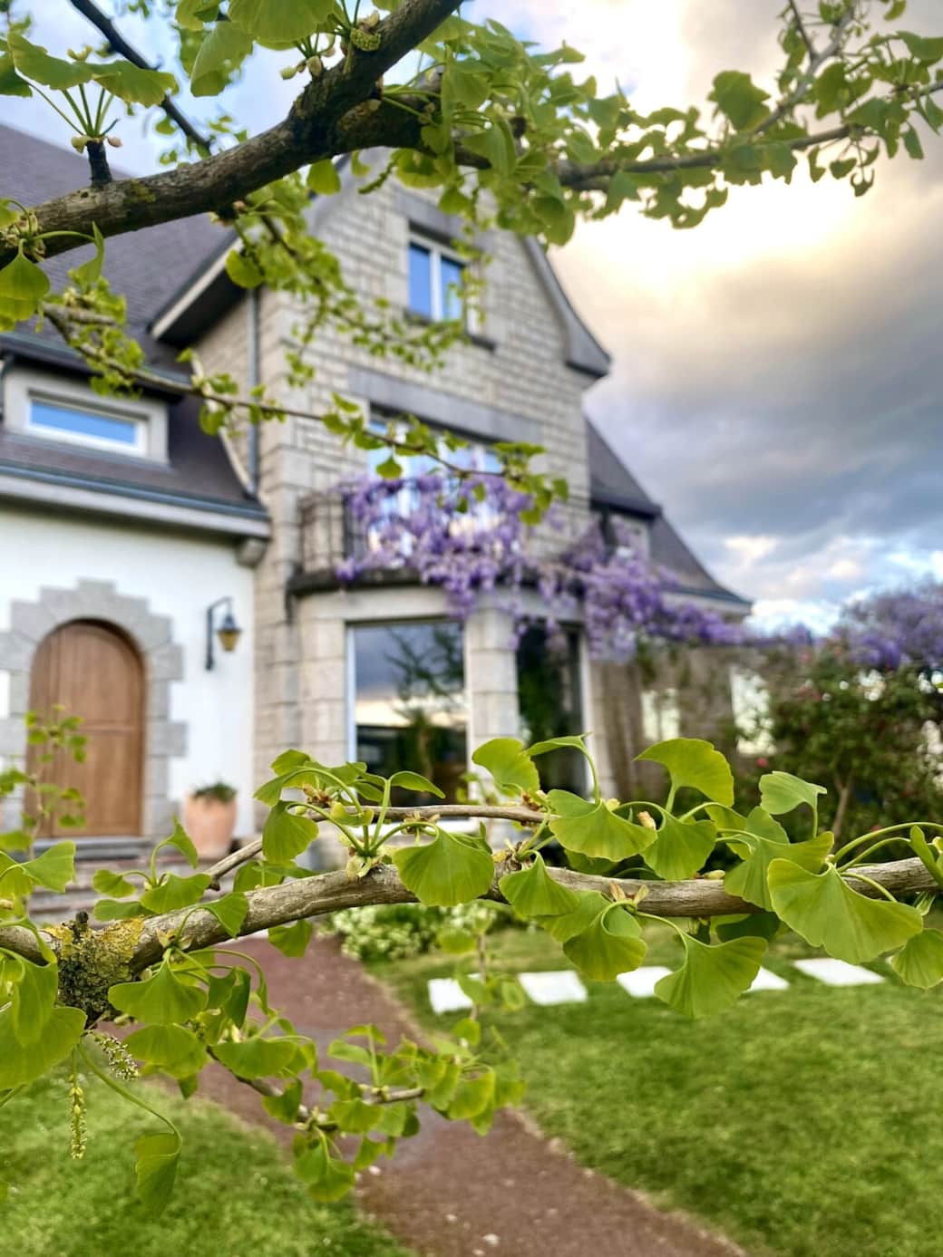 Le majestueux Ginkgo biloba qui trône devant la maison accompagne le rythme des saisons, et a inspiré notre logo. Il est devenu l’emblème de la Villa Medena. Le majestueux Ginkgo biloba qui trône devant la maison accompagne le rythme des saisons, et a inspiré notre logo. Il est devenu l’emblème de la Villa Medena.