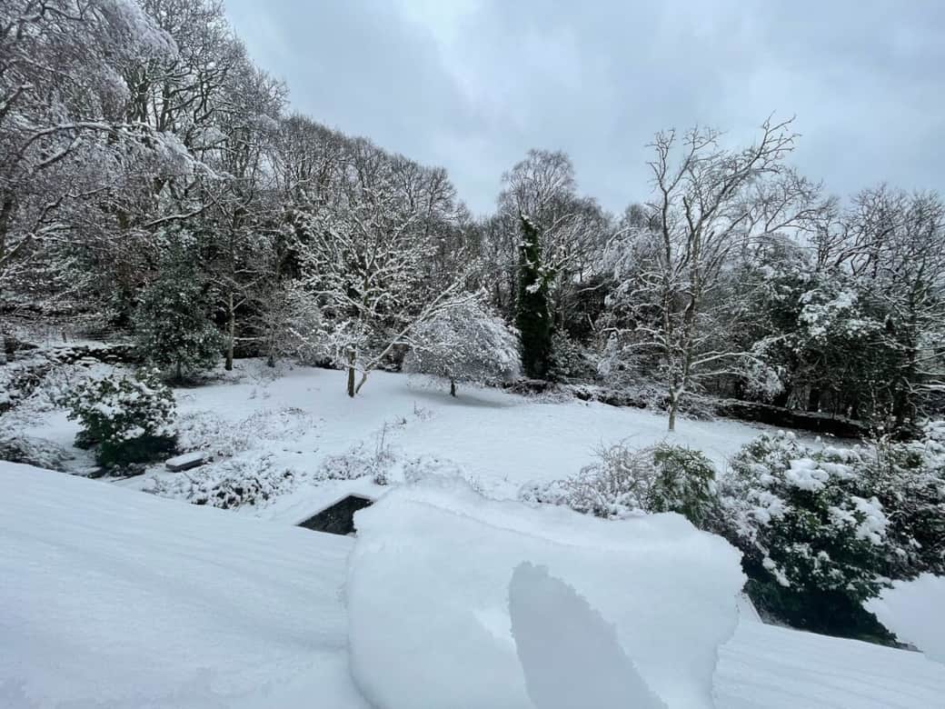Mid winter photo of the rear garden, surrounded by ancient woodland , taken from the 3rd bedroom. The 3rd bedroom is currently used for storage.