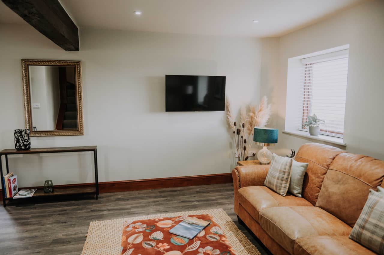 Living Area, Smart TV