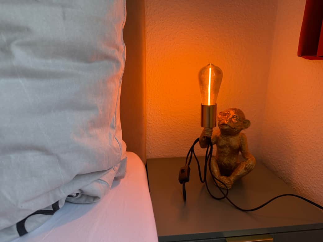 Wir richten aktuell neu und mit Liebe für euch ein :)