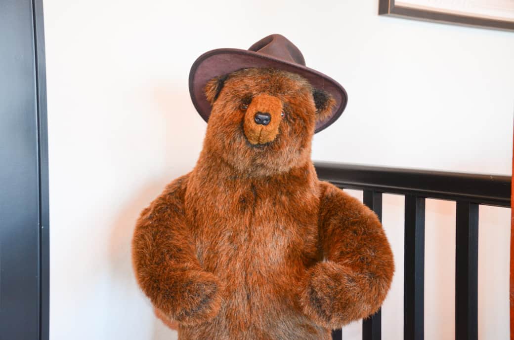 Bear Bear