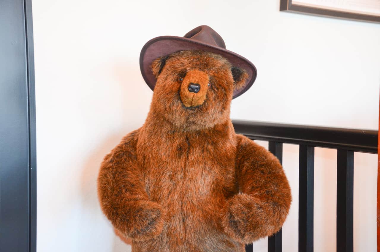 Bear