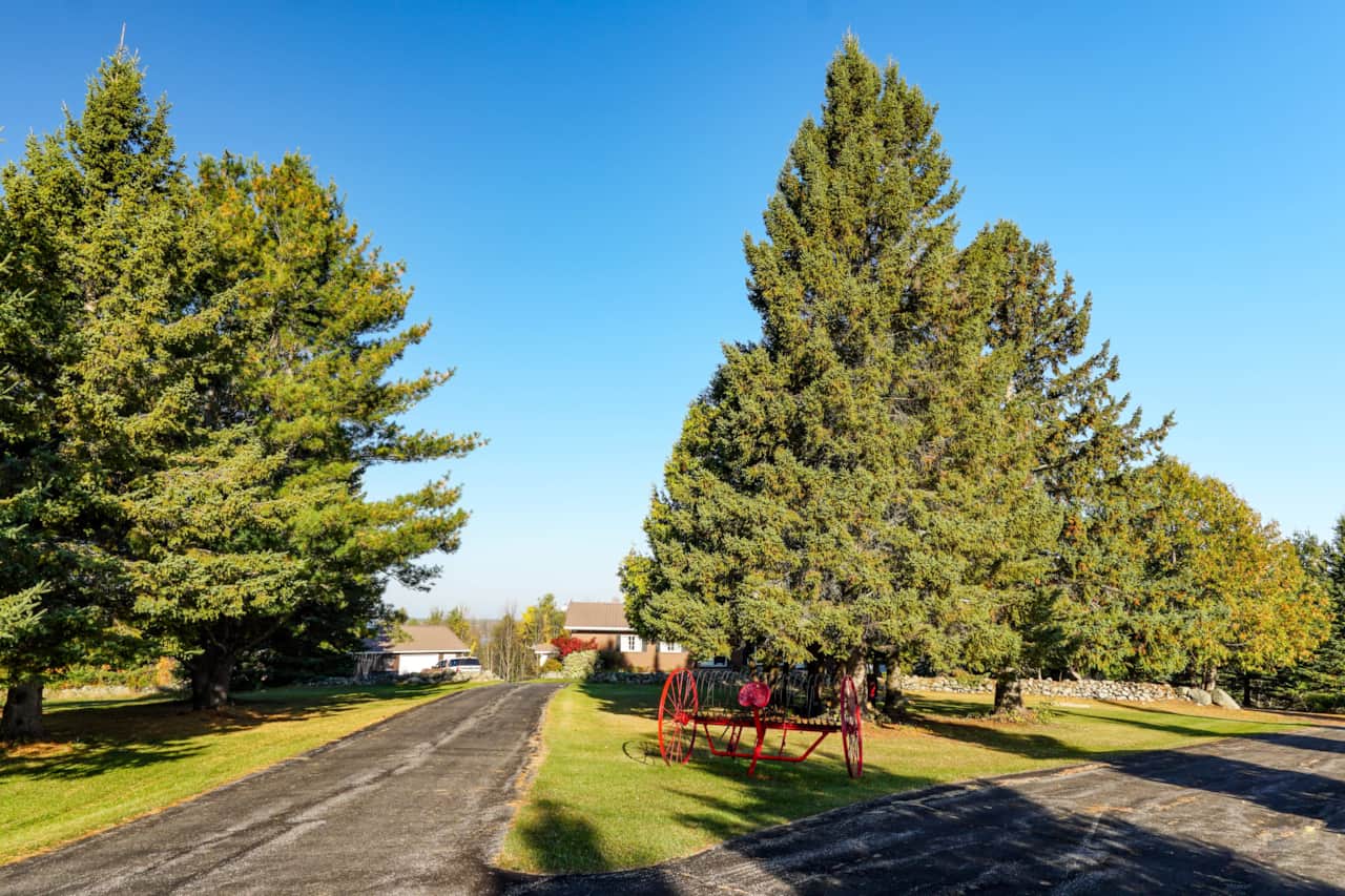 The scenic driveway leads you to the heart of Calabogie House.