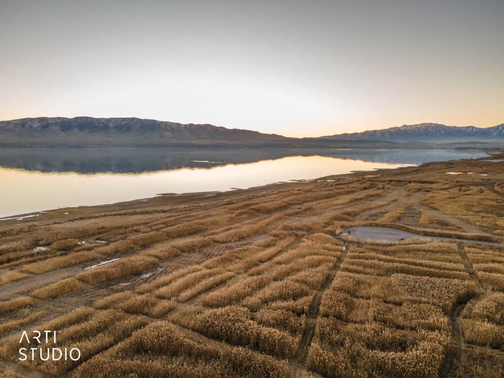 679 W 1100 S_V Raghavan51_Web