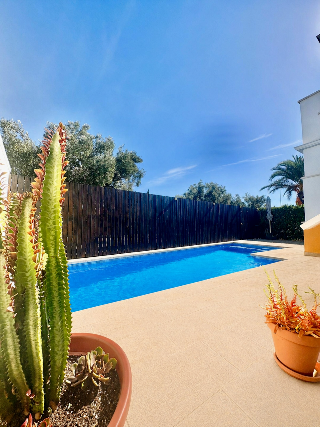 Swimming pool - Villa Alegre, Mar Menor Golf Swimming pool - Villa Alegre, Mar Menor Golf