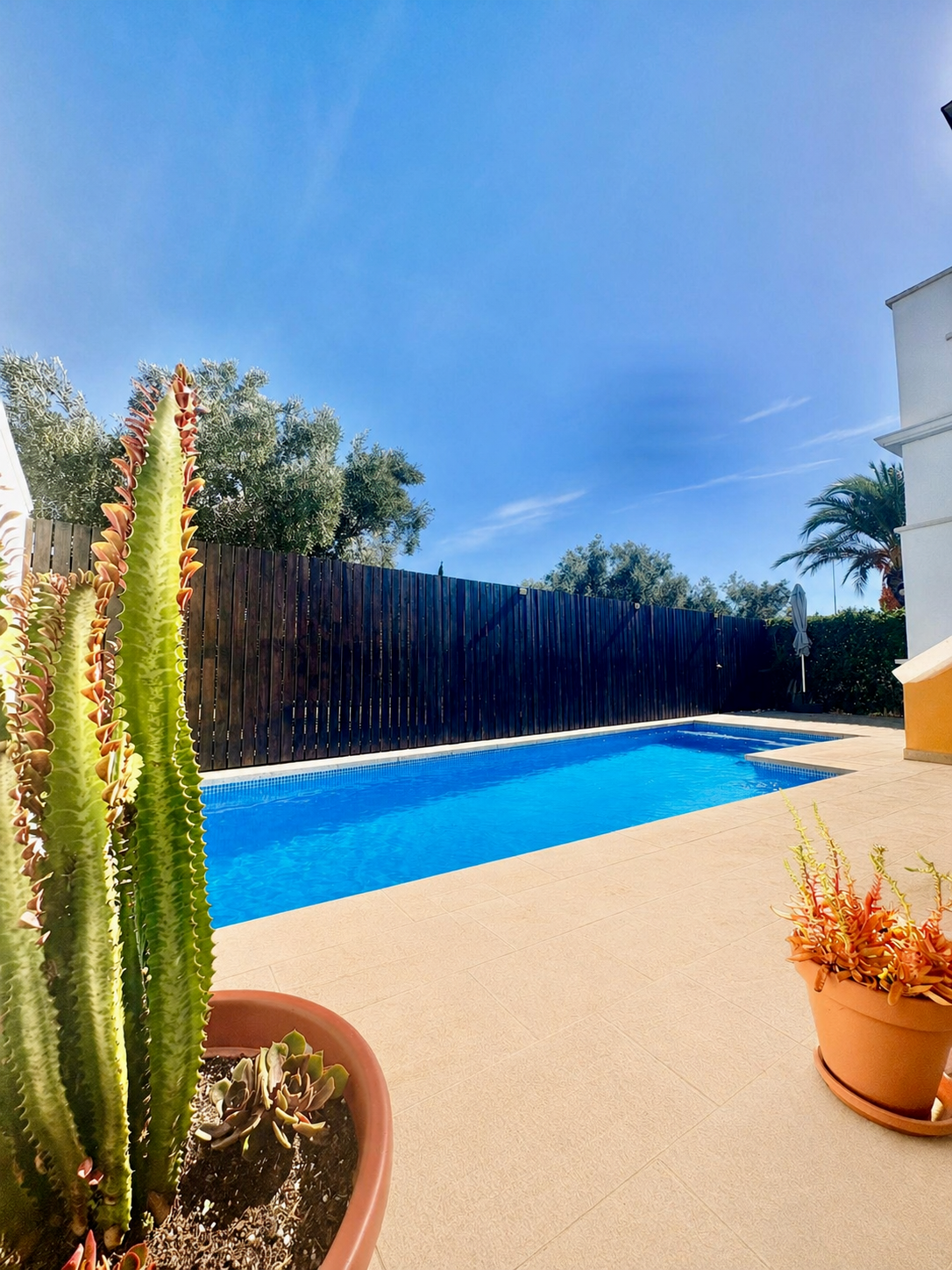 Swimming pool - Villa Alegre, Mar Menor Golf
