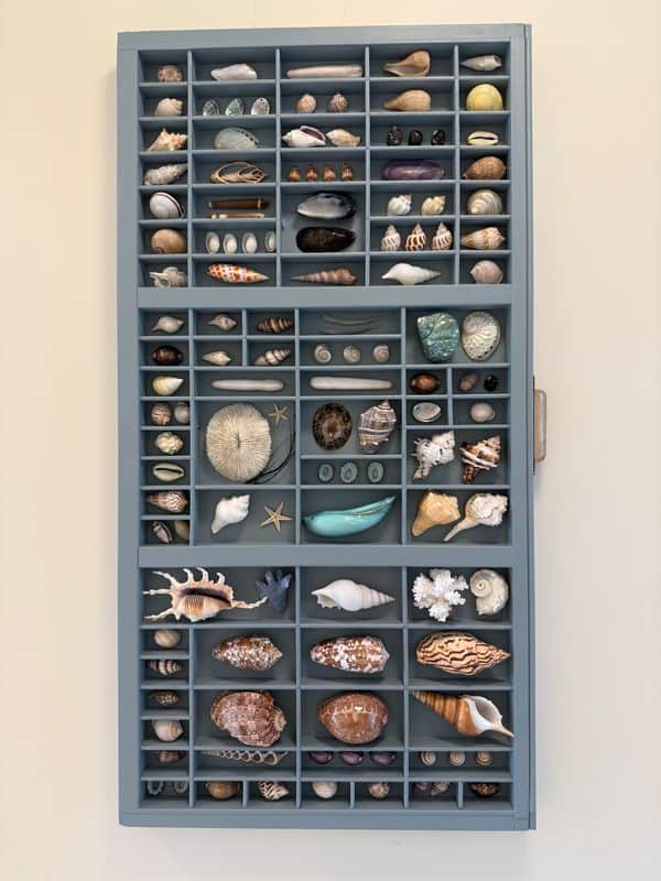 Type Tray