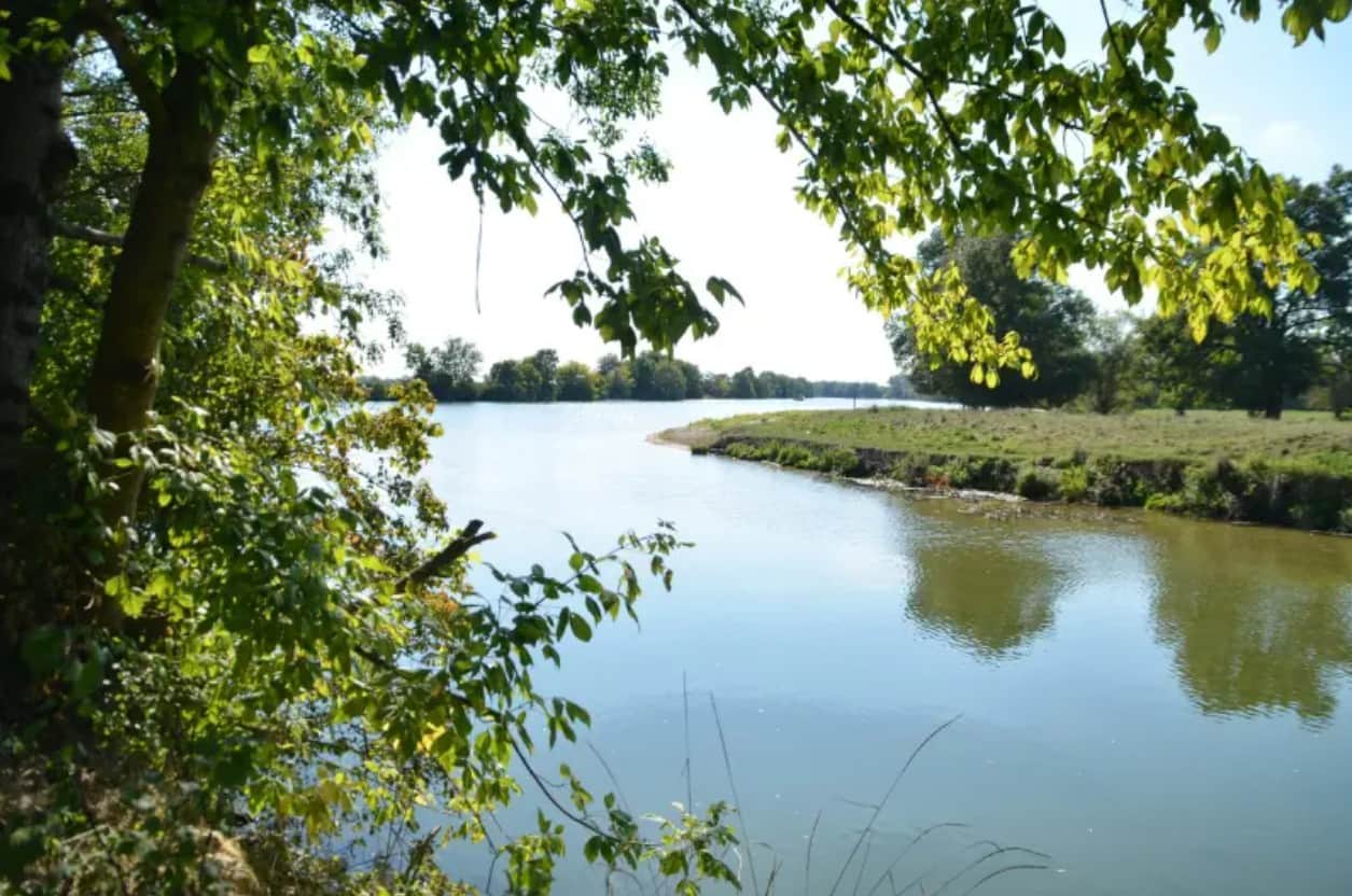 Embouchure Tille Saône