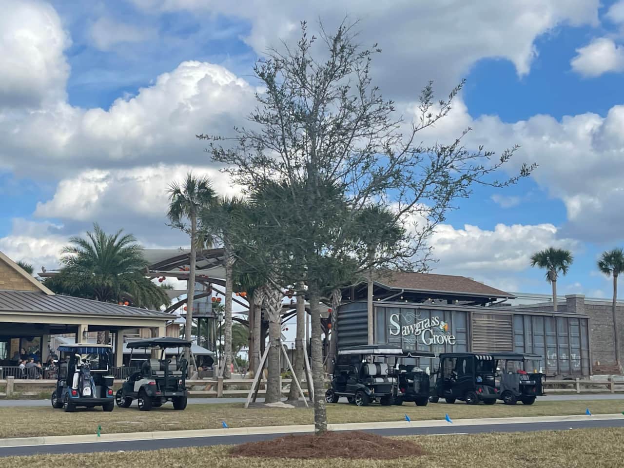 Sawgrass Grove