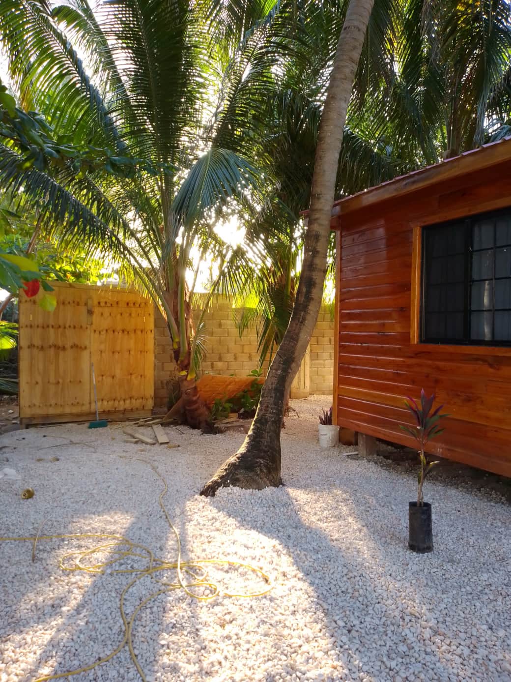 Front Yard