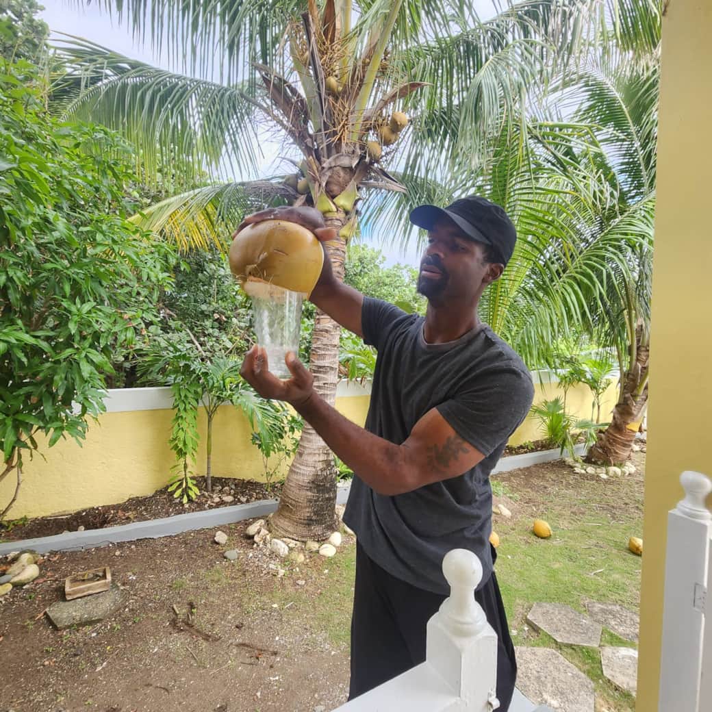 Freshly picked coconut