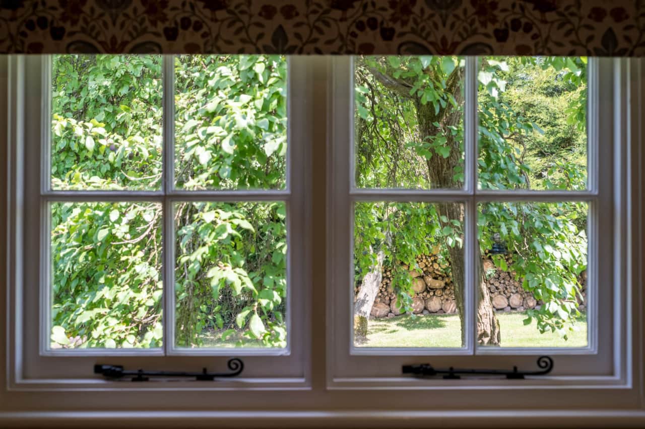 View from the windows - trees, grass and wildlife