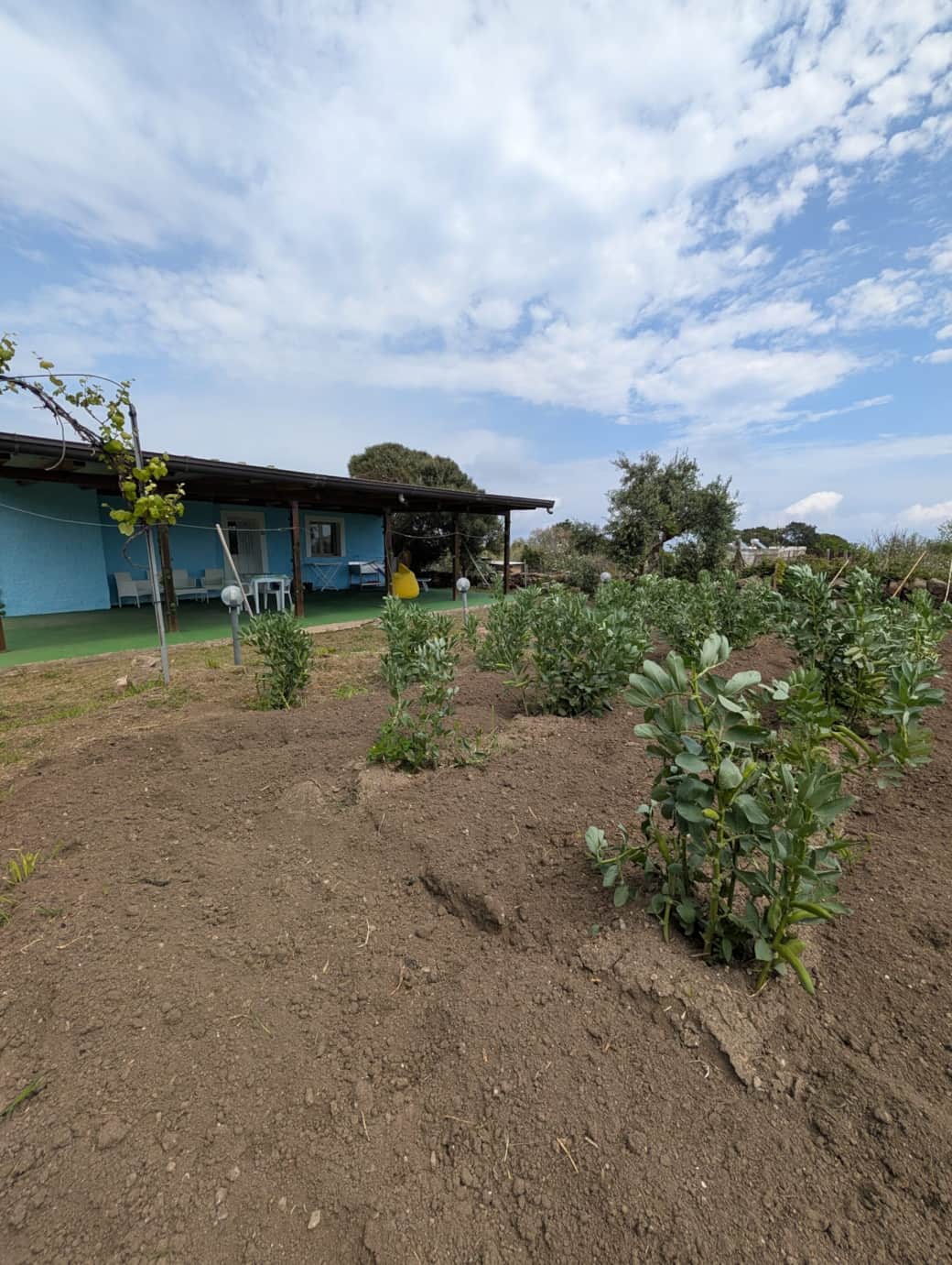 WhatsApp Image 2026-04-20 at 13.53