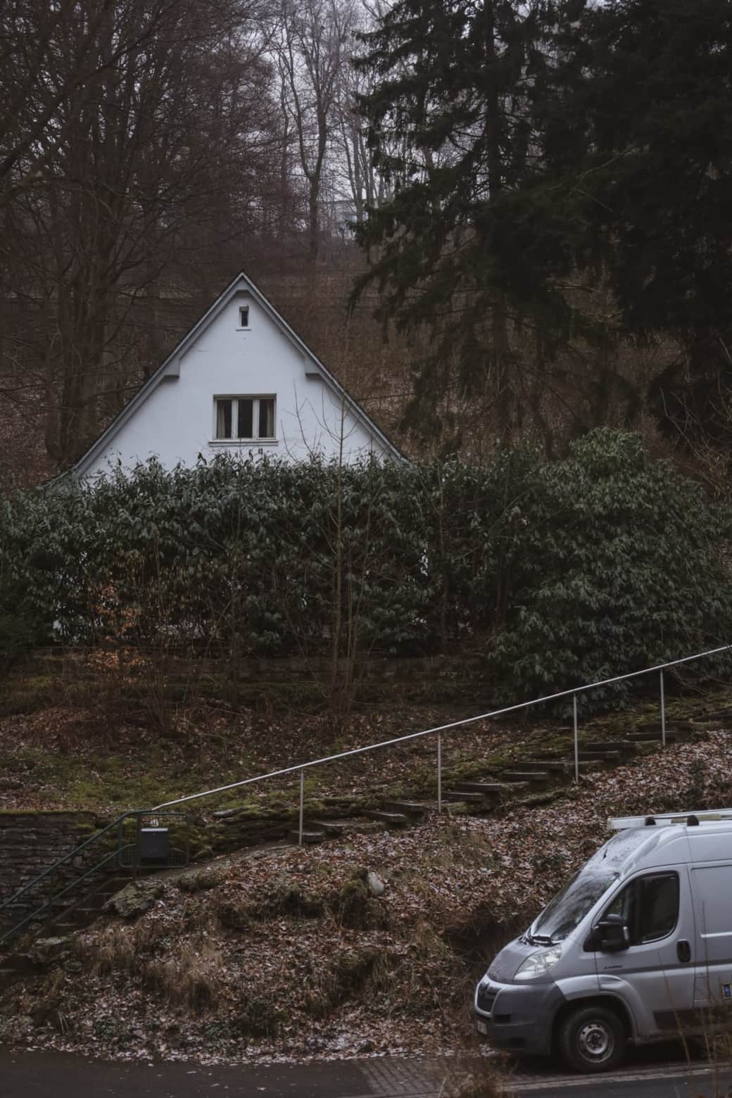 Forest House