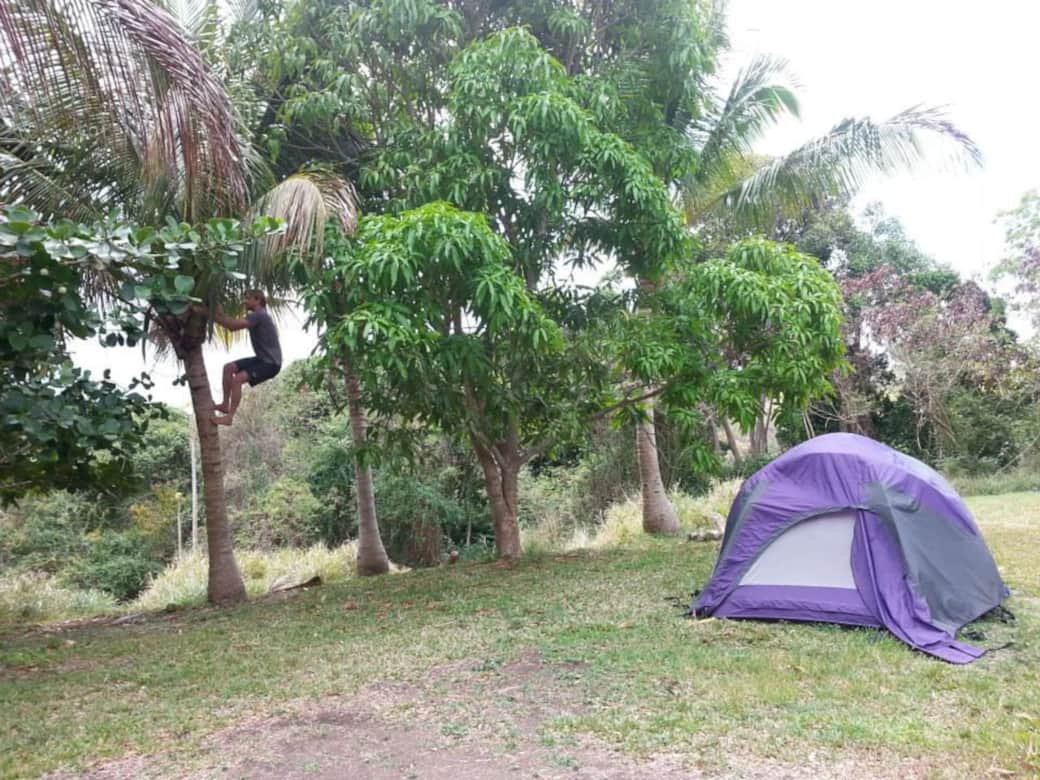 Tent Site