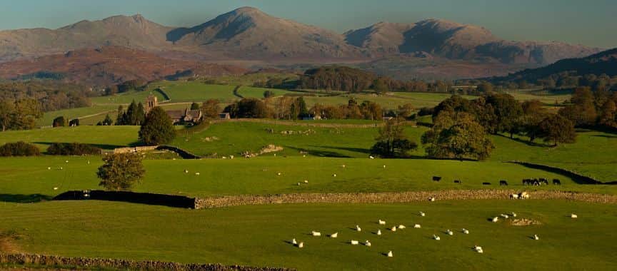 Image Title
