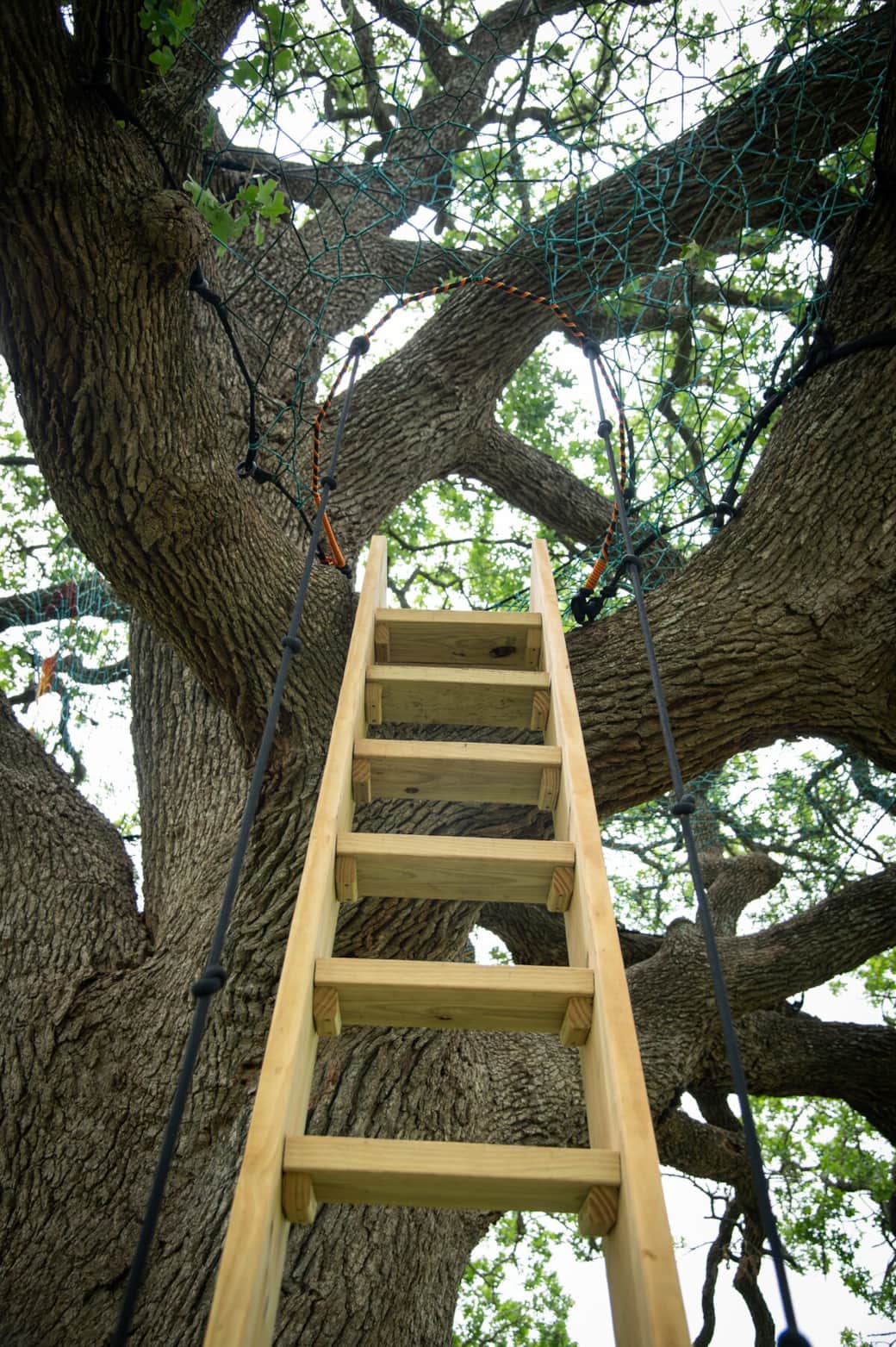 A stable wooden staircase complete with rope railings creates safety for even the most timid of adventurers. 