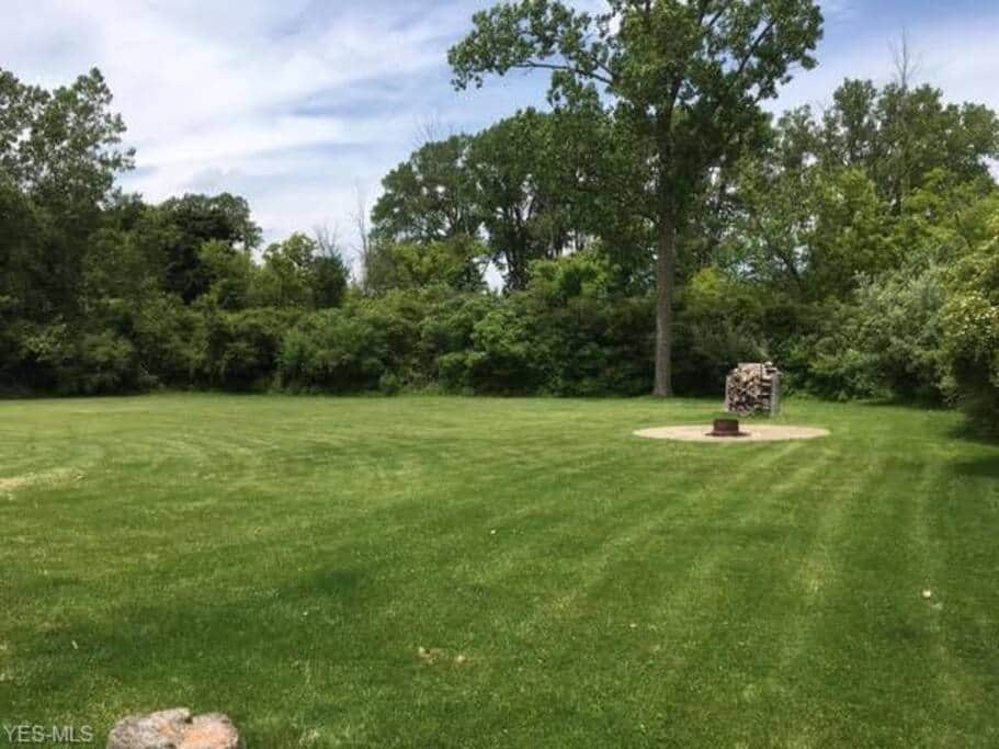 Back yard