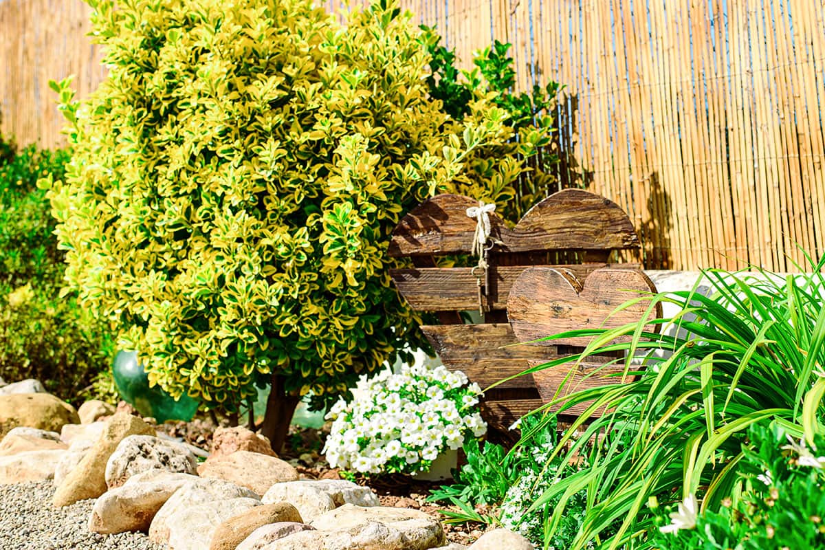 Detalles decorativos rústico en la zona de jardín | Masía de Cholito