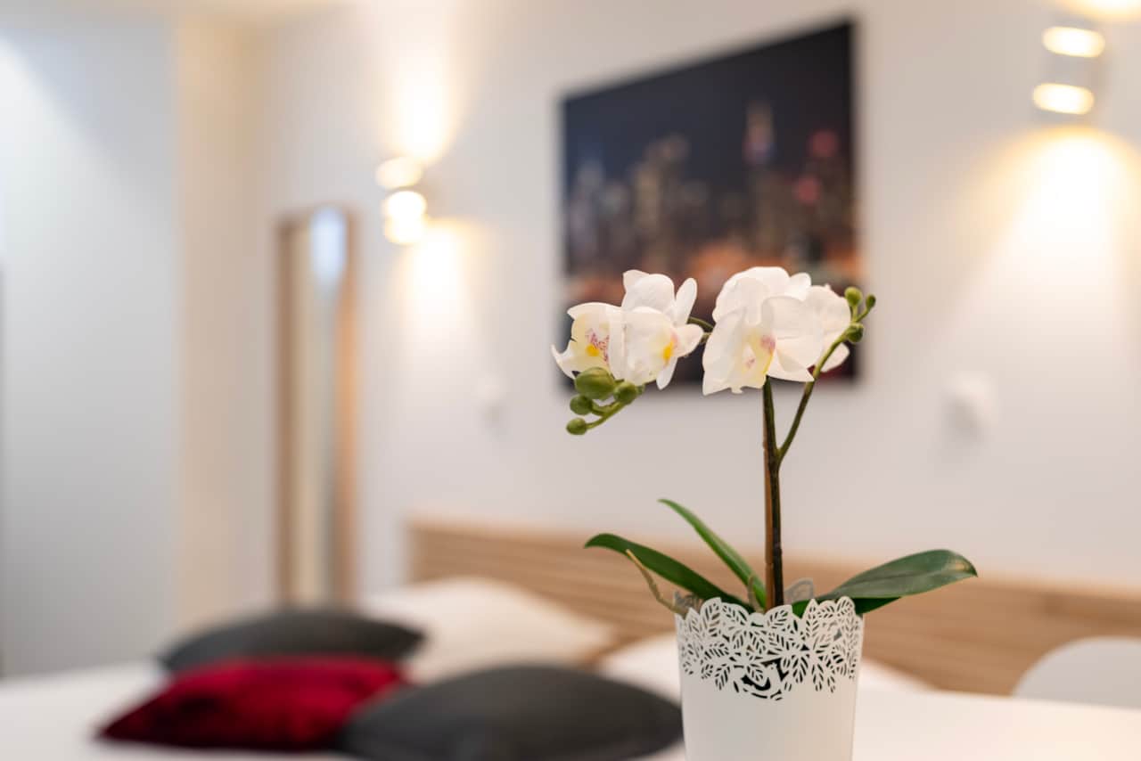 Studio Résidence Hirtz - CityCosy Strasbourg - Vacation Rentals - Meublé de Tourisme