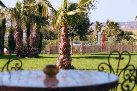 garden garden