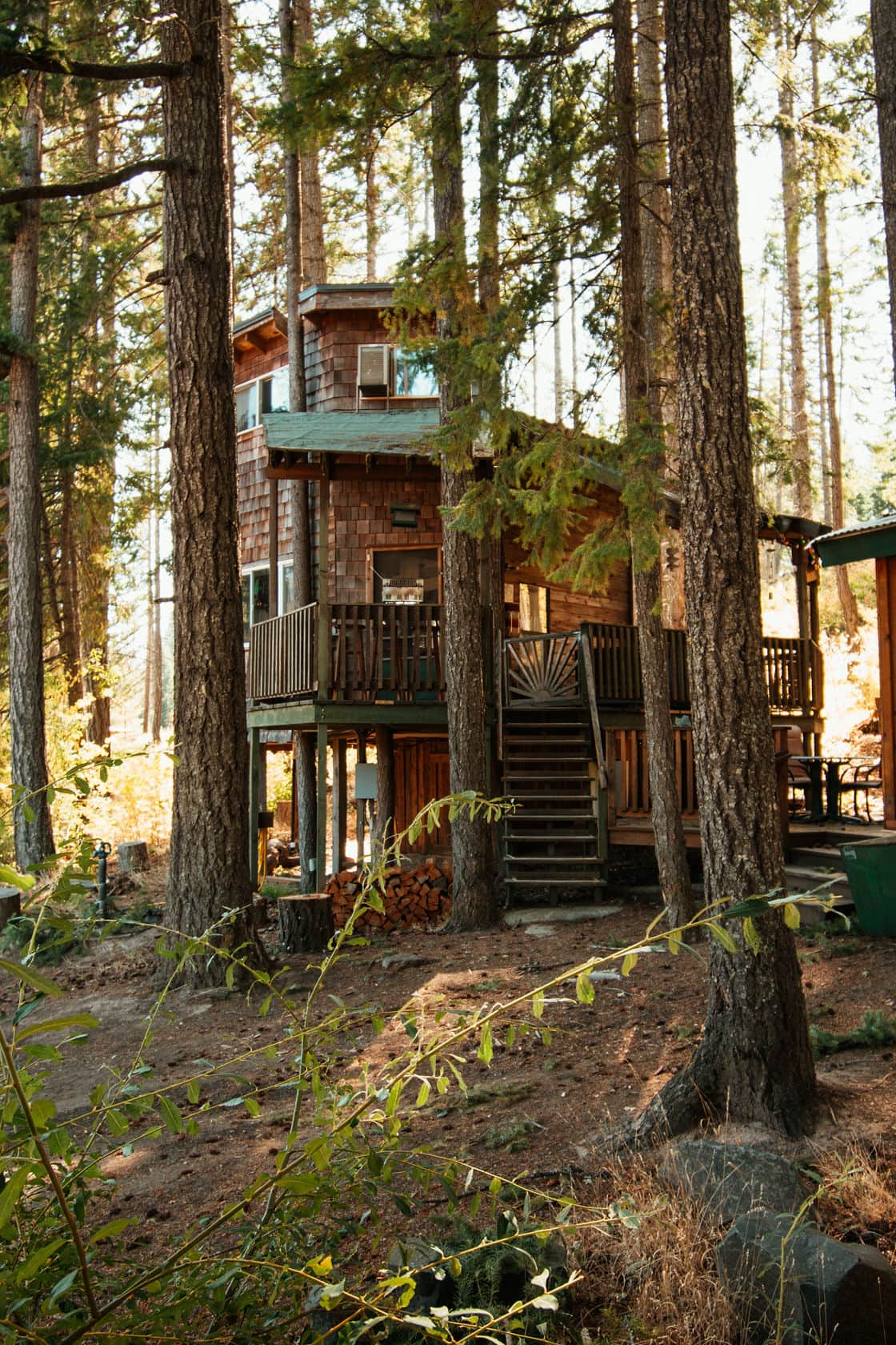 Tree house in the woods