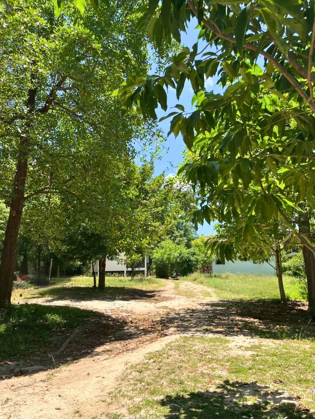 Scenery 2