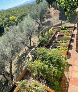 Guests are welcome to pick seasonal vegetables from the kitchen garden
