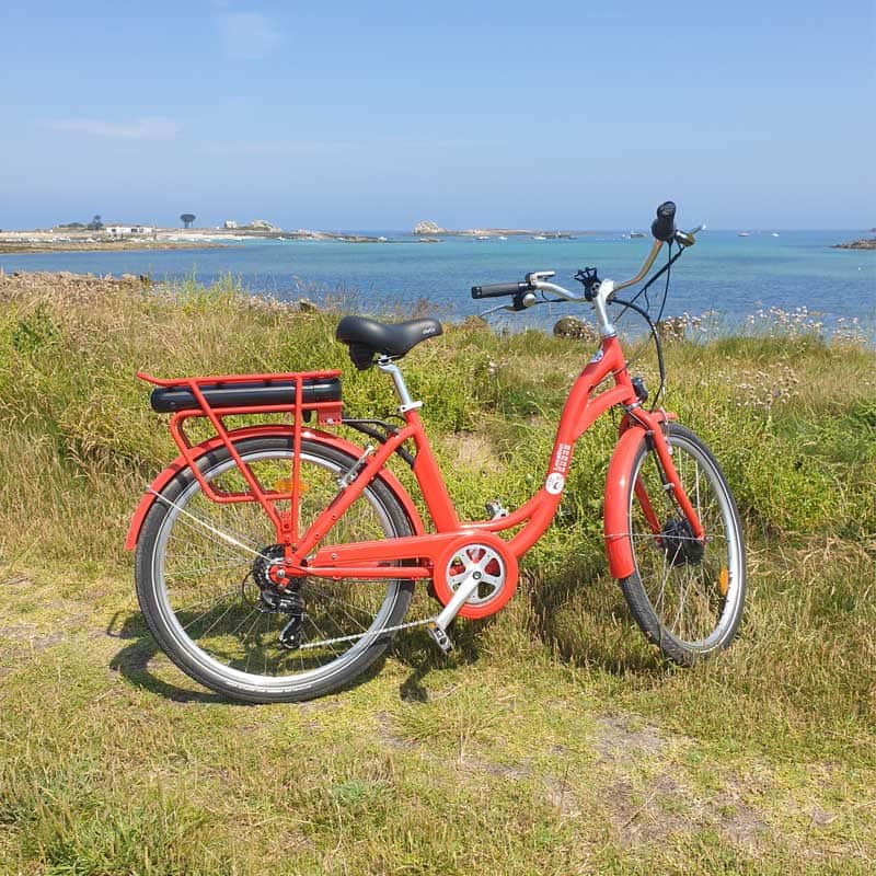 location vélos - VTT, grave, ville, électriques