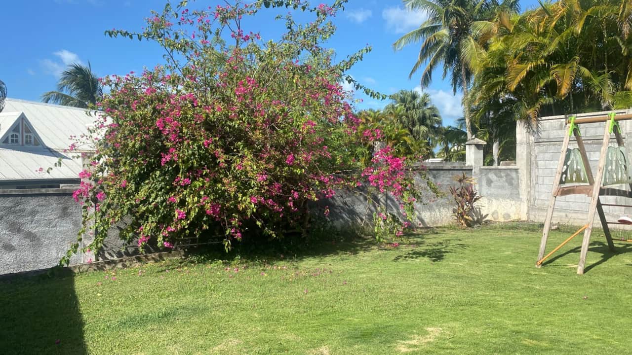 Jardin 