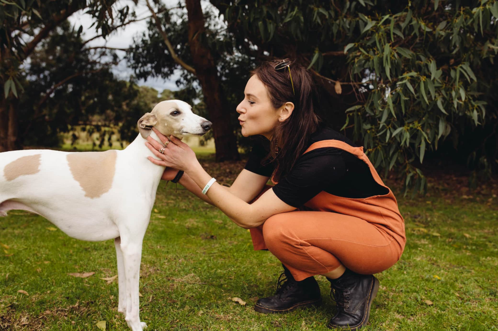 Dog Kiss
