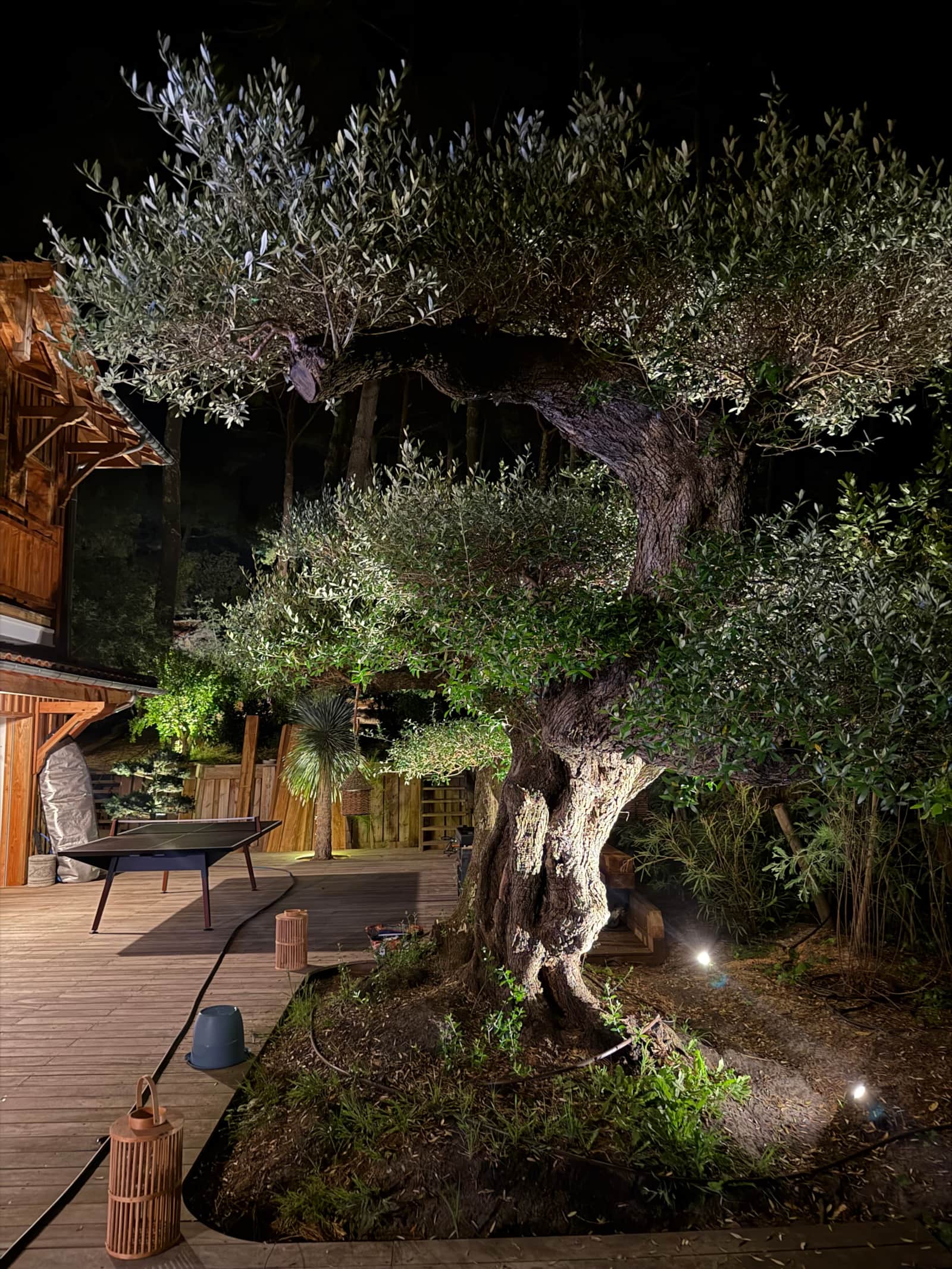 Villa Ella — photo 31