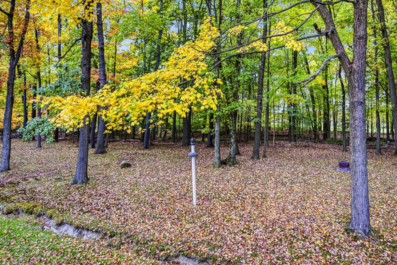 Backyard in Fall