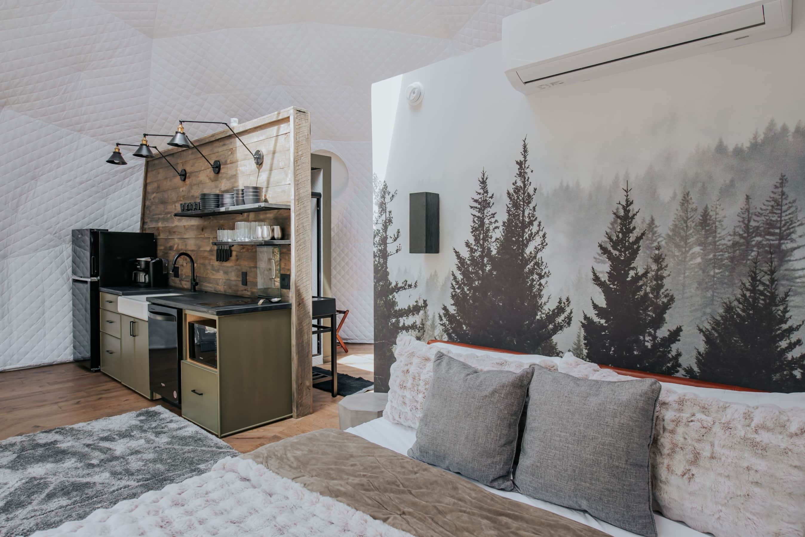 Dome 2 Brunson