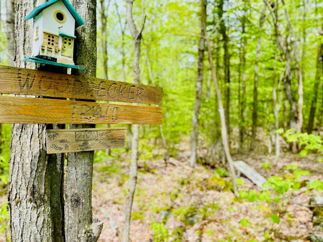 Entouré par la nature 