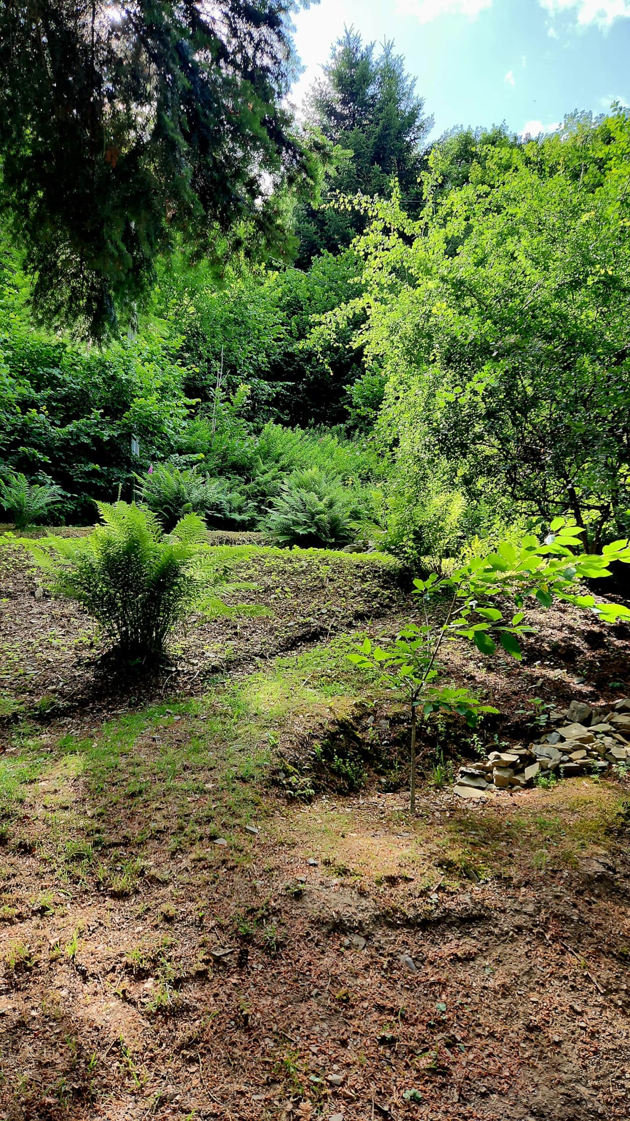 Garden 2