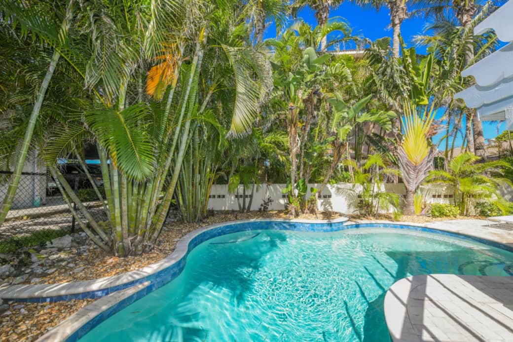 Welcome to Lazy Palm! Welcome to Lazy Palm!