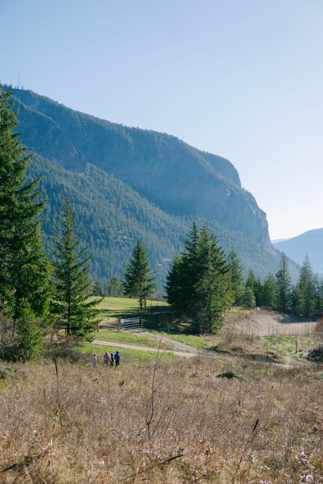 Close view of Bastion profile