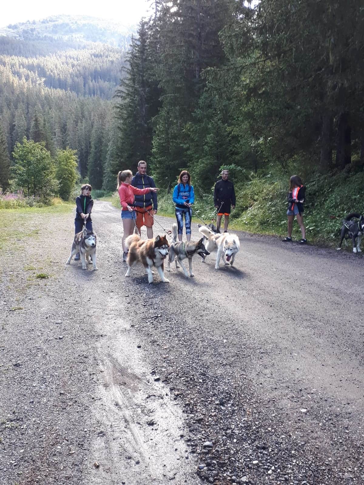 Cani Rando à l'altiport