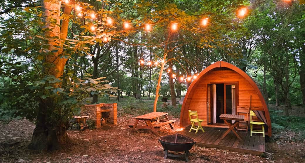 Fairy Lights at Night
