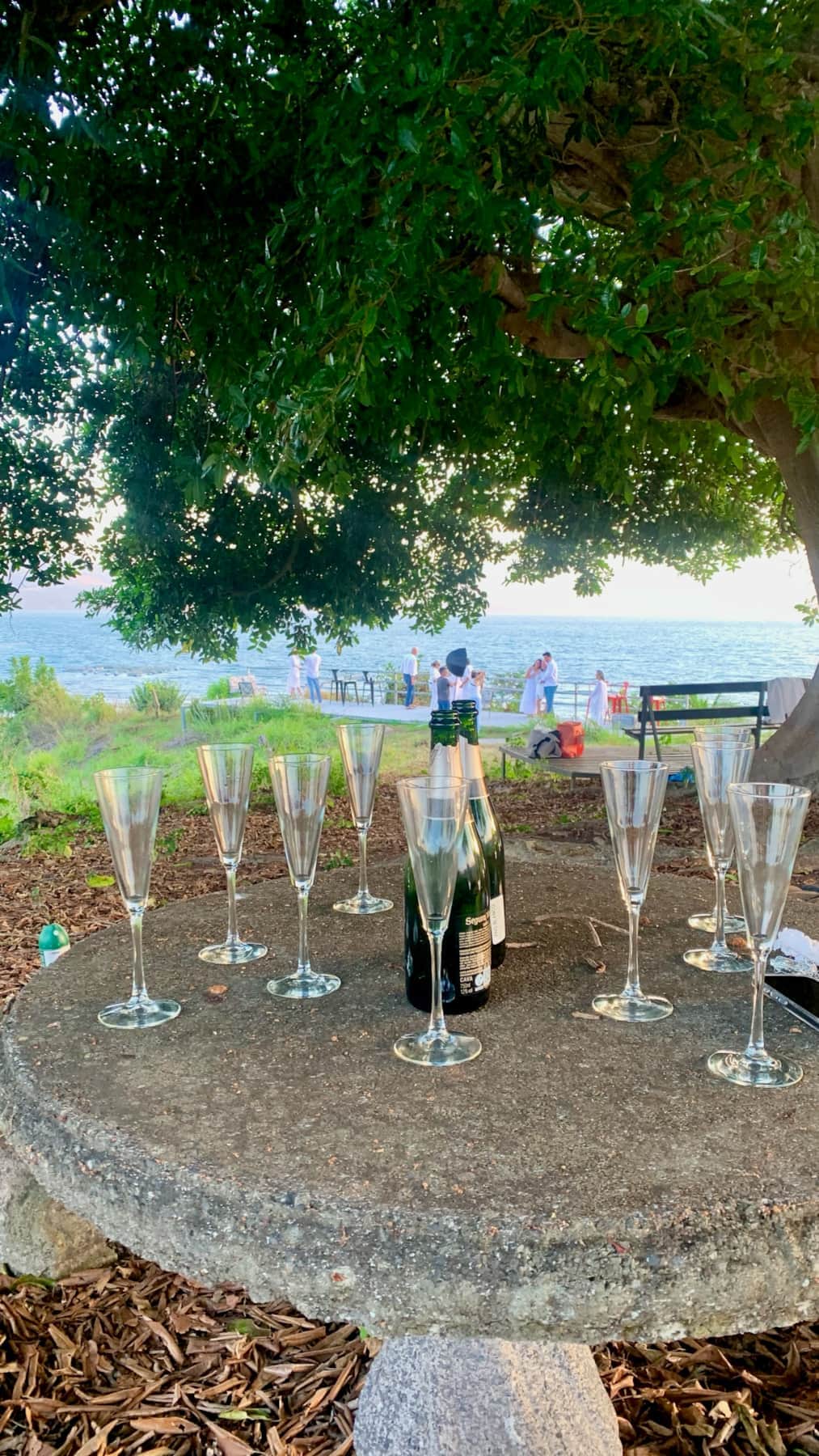 https://l.icdbcdn.com/oh/c7d9256b-5af0-4dbc-ae68-d5a1800a9148.jpg?w=2080-32