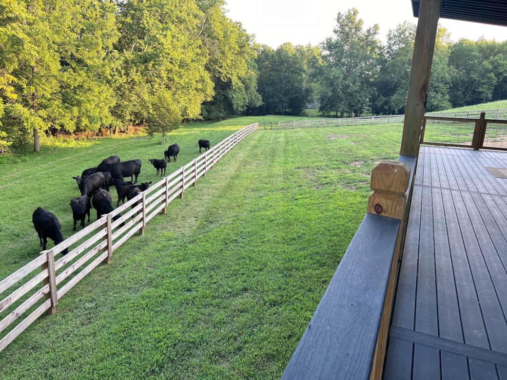 Sometimes the neighbors like to drop by.