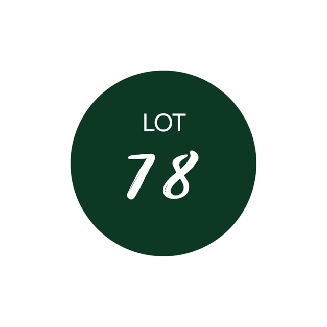 Lot 78