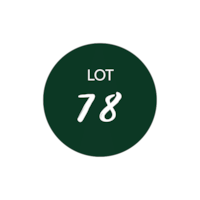 Lot 78