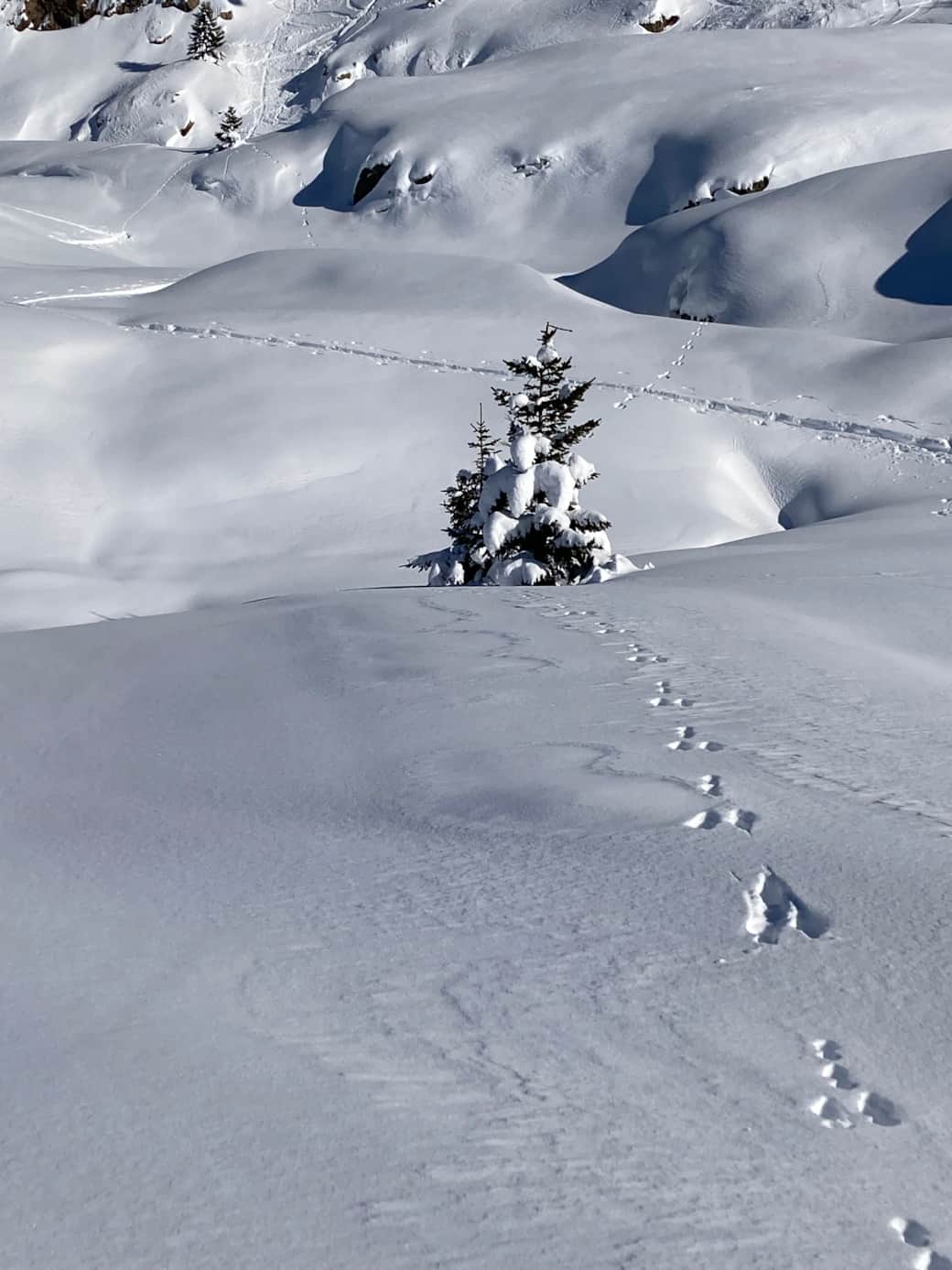 Vaujany hiver