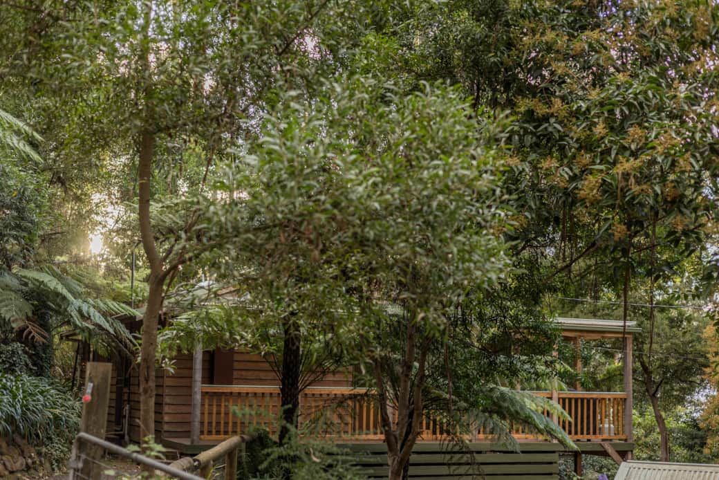 Fern House external Fern House external