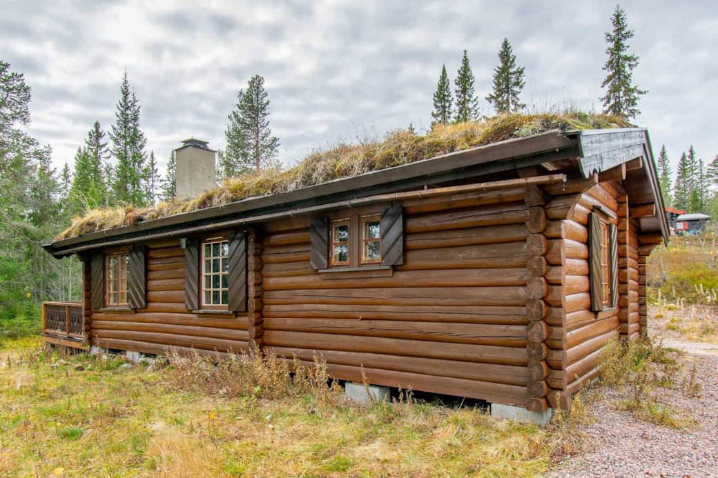 Winter outdoors Winter outdoors