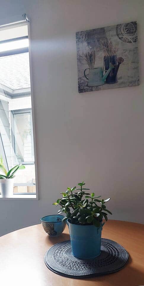 Bright and welcoming kitchenette with sink, fridge, microwave, air-fryer, kettle, cupboards, and washing machine. Thoughtfully converted from part of the garage, with a small gym available nearby for a modest fee.