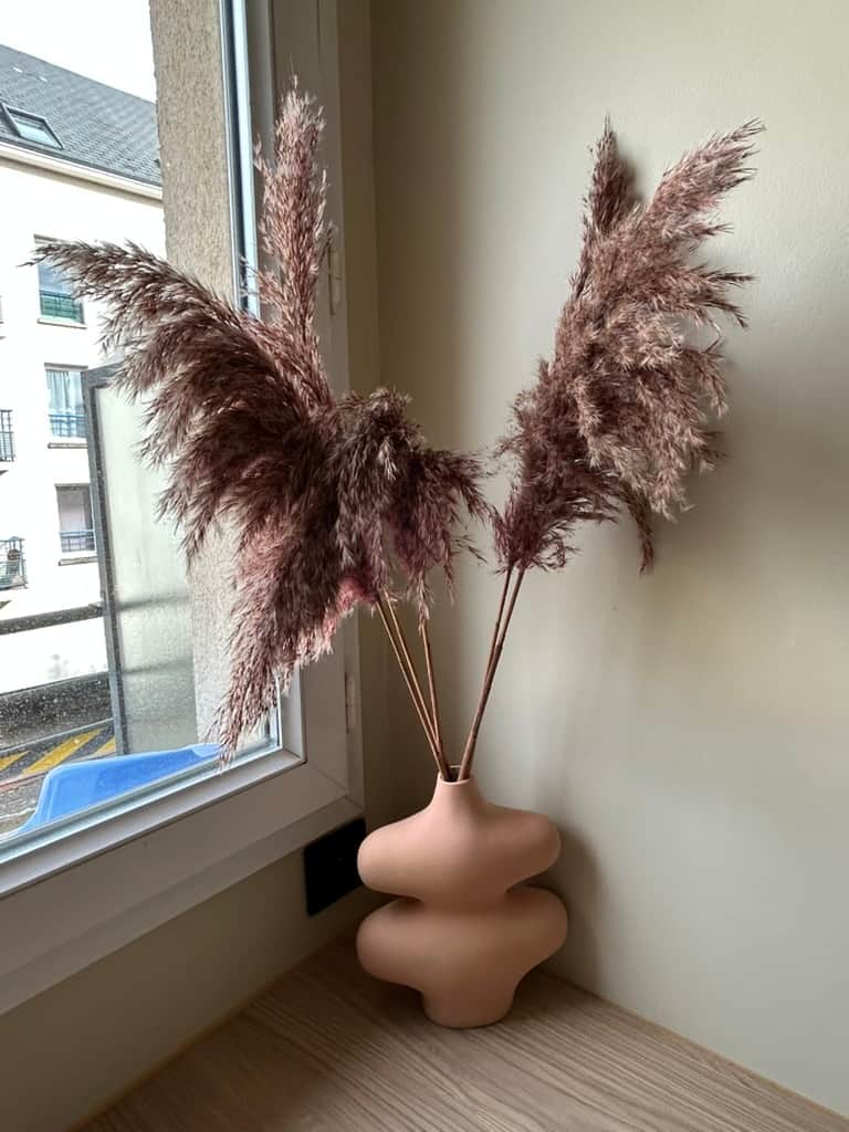 Deco Deco