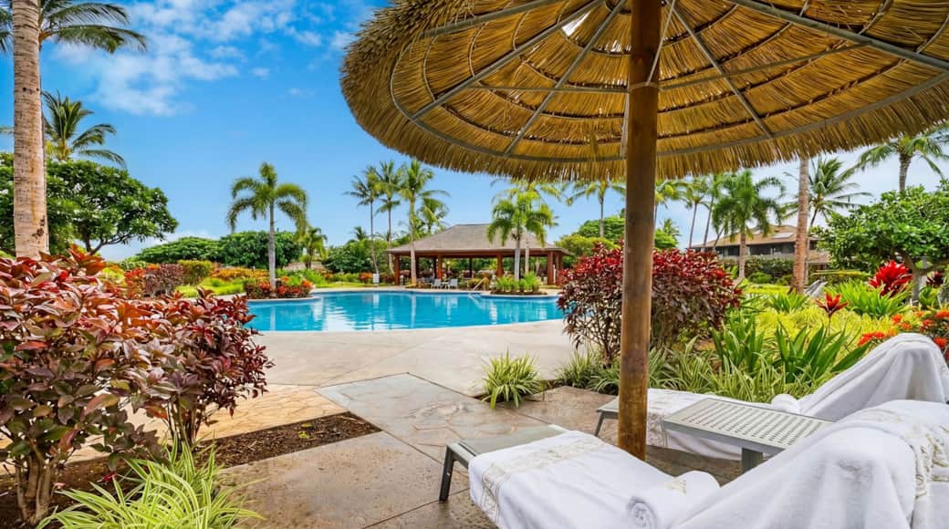The Ka Milo Ohana pool. Tropical, stunning, and just steps away from The 404.